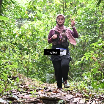 Runner Photo 7337244