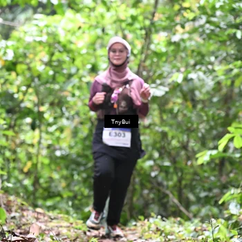 Runner Photo 7337248