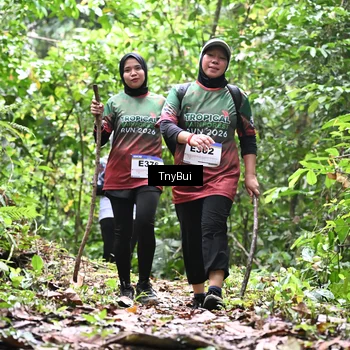 Runner Photo 7337444