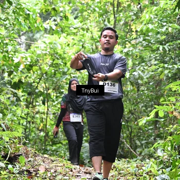 Runner Photo 7337639