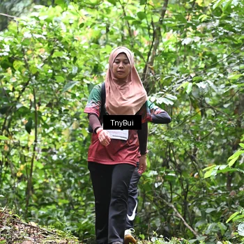 Runner Photo 7337846