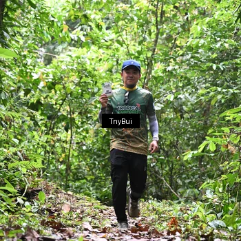 Runner Photo 7338781