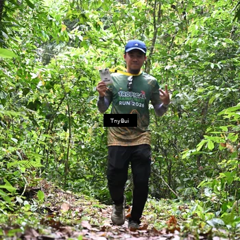 Runner Photo 7338790