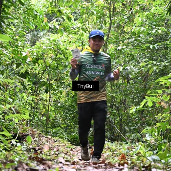Runner Photo 7338808
