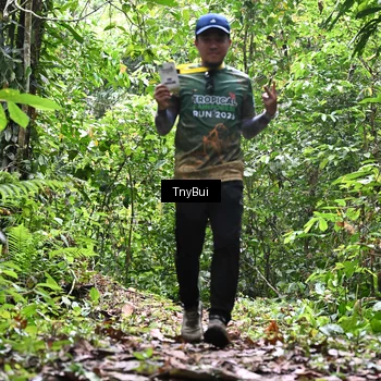 Runner Photo 7338809