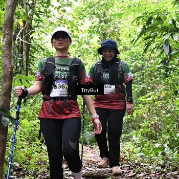Runner Photo 7340012