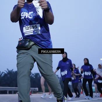 Runner Photo 7340290