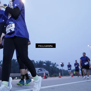 Runner Photo 7341245