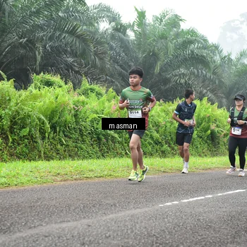 Runner Photo 7352981