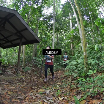 Runner Photo 7353114
