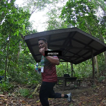 Runner Photo 7353471