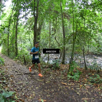Runner Photo 7353565