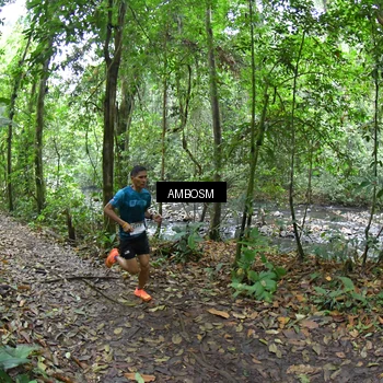 Runner Photo 7353618