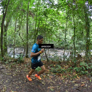 Runner Photo 7353633