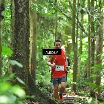 Runner Photo 7353886
