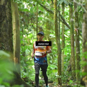 Runner Photo 7354315