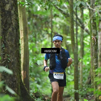 Runner Photo 7354433