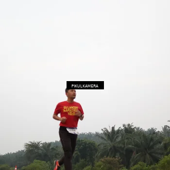 Runner Photo 7354608