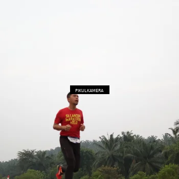 Runner Photo 7354610