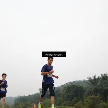 Runner Photo 7354657
