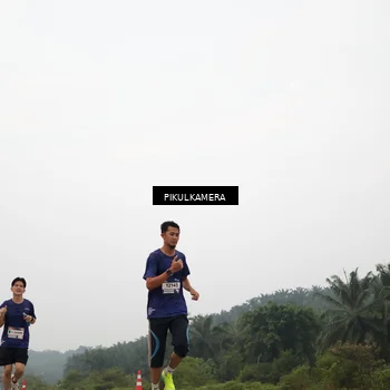 Runner Photo 7354659