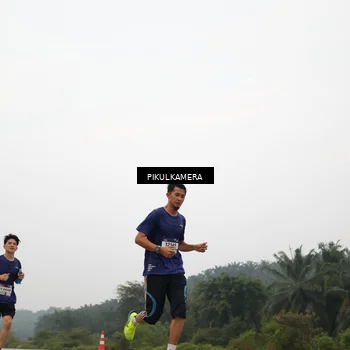 Runner Photo 7354662