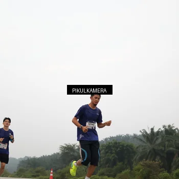 Runner Photo 7354731