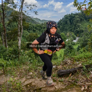 Runner Photo 73548