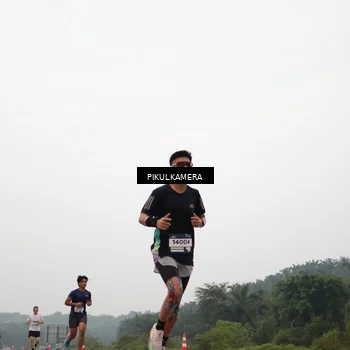 Runner Photo 7354814