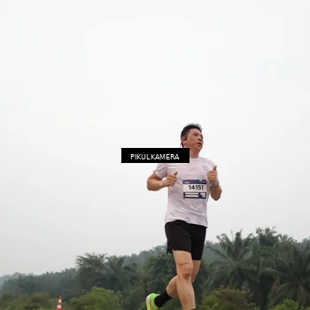 Runner Photo 7354921