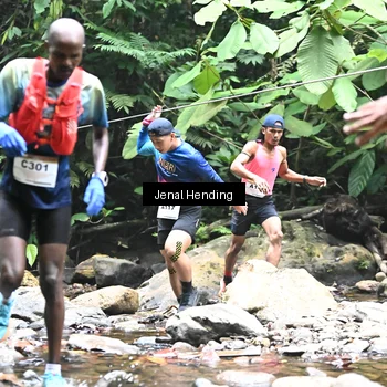 Runner Photo 7360608