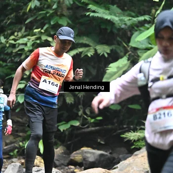 Runner Photo 7361987