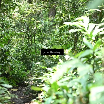 Runner Photo 7363764