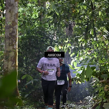 Runner Photo 7376076