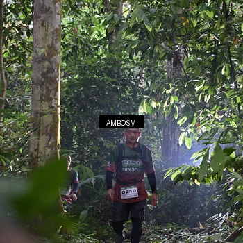 Runner Photo 7377839