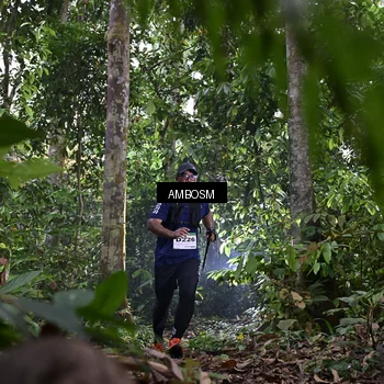 Runner Photo 7378018