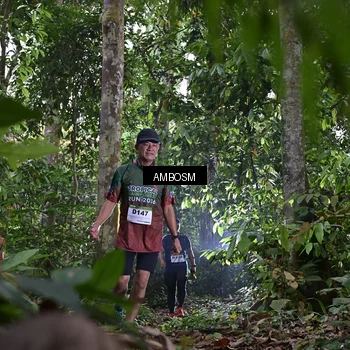 Runner Photo 7378030