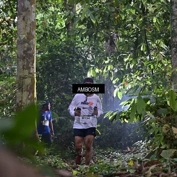 Runner Photo 7378039