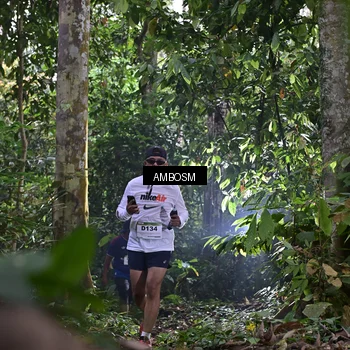 Runner Photo 7378042