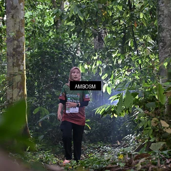 Runner Photo 7378161