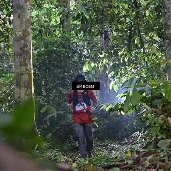 Runner Photo 7378983