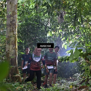 Runner Photo 7379262