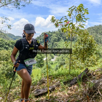 Runner Photo 73803