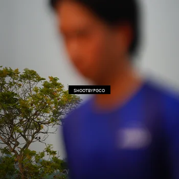 Runner Photo 7381301