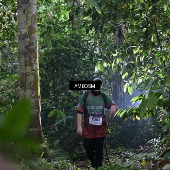 Runner Photo 7385741