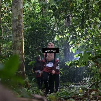 Runner Photo 7388537