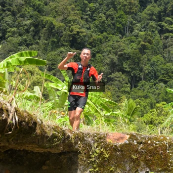 Runner Photo 73946