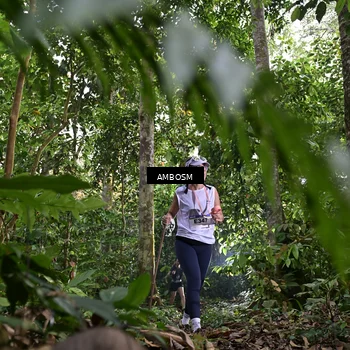 Runner Photo 7399989
