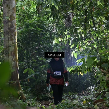 Runner Photo 7400444
