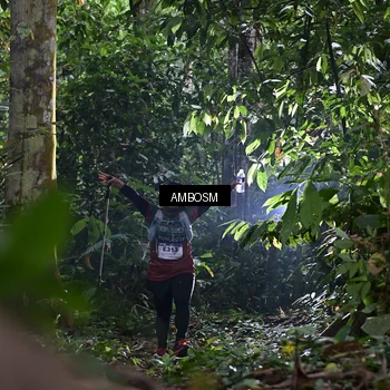 Runner Photo 7401313